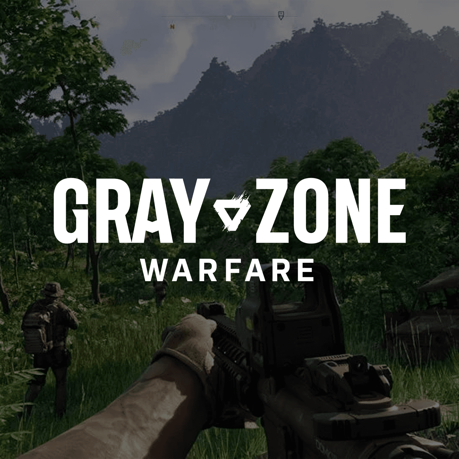 Gray Zone